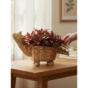 Dinosaur Rattan Wicker Plant Fruit Storage Decorative Planter